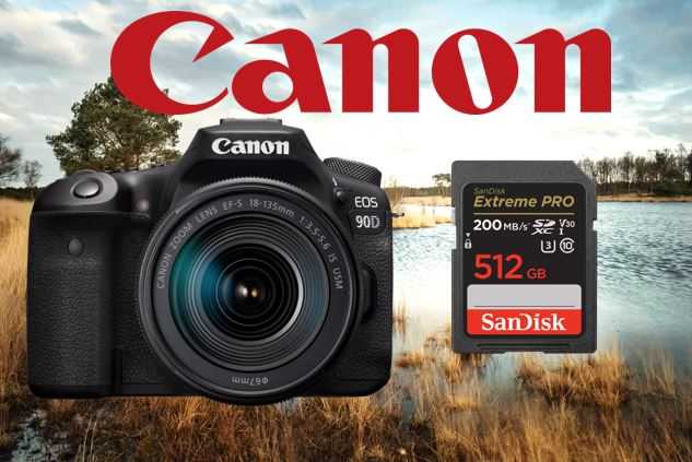 Schiet prachtige beelden in de natuur met de Canon EOS 90D en een SanDisk SD kaart en USB stick